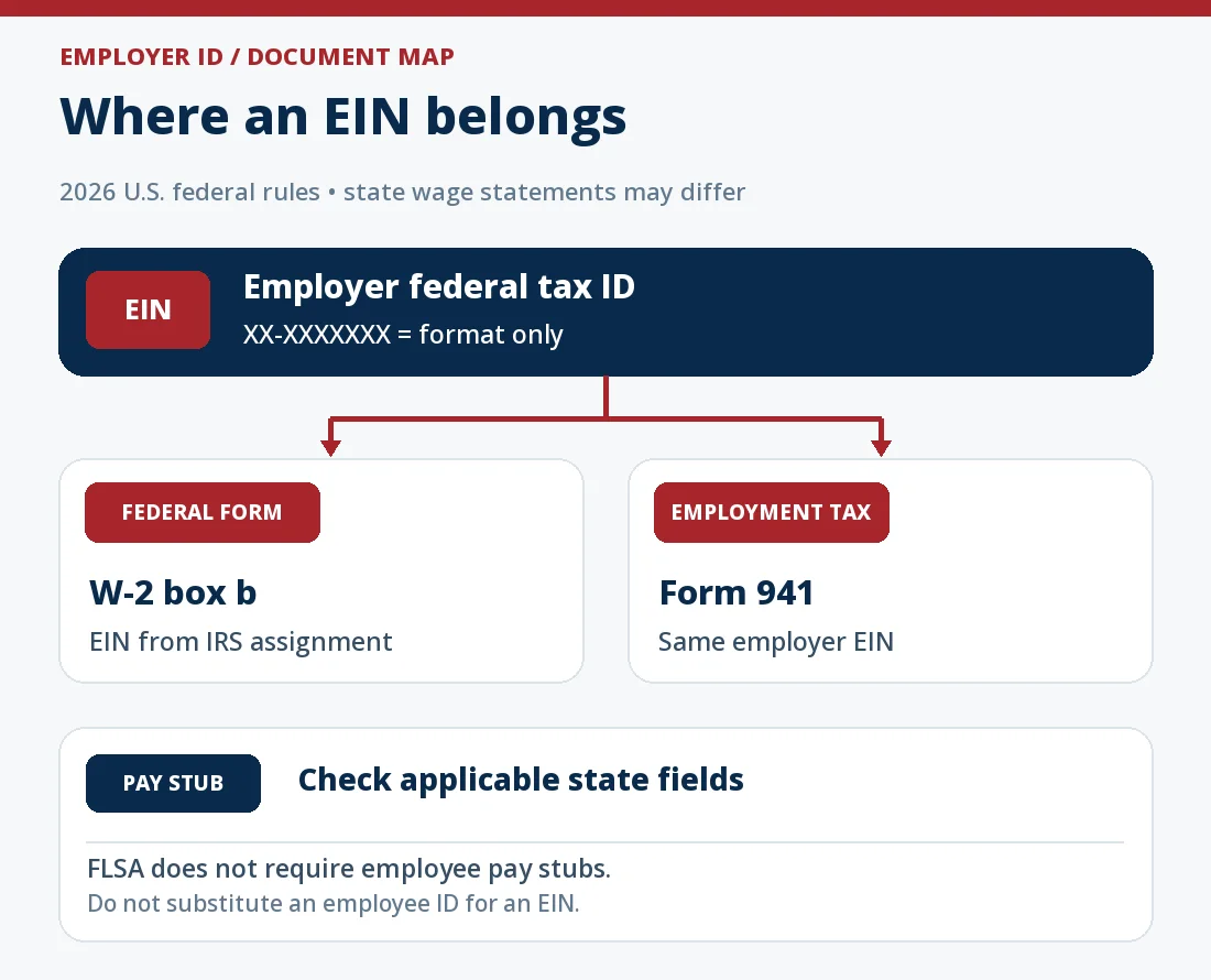 Document map for U.S. payroll: employer EIN or FEIN is the federal tax ID used in Form W-2 box b and federal employment tax returns; a pay-stub EIN field depends on applicable state rules and actual payroll configuration, and is distinct from an employee ID or SSN.